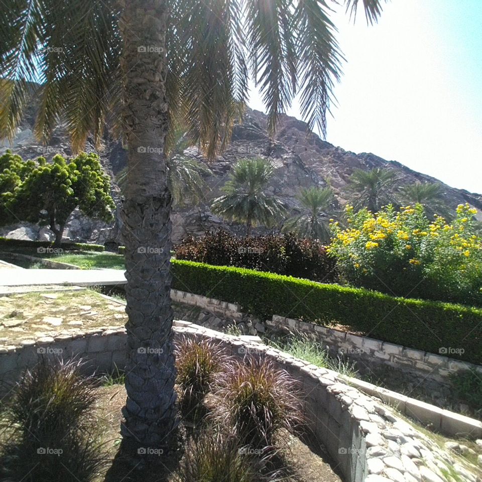 park view and mountain