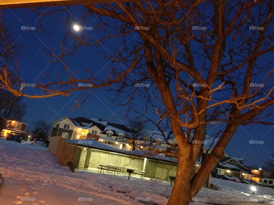 A calm and clear winter evening with a bright full moon shining on the clean snow 