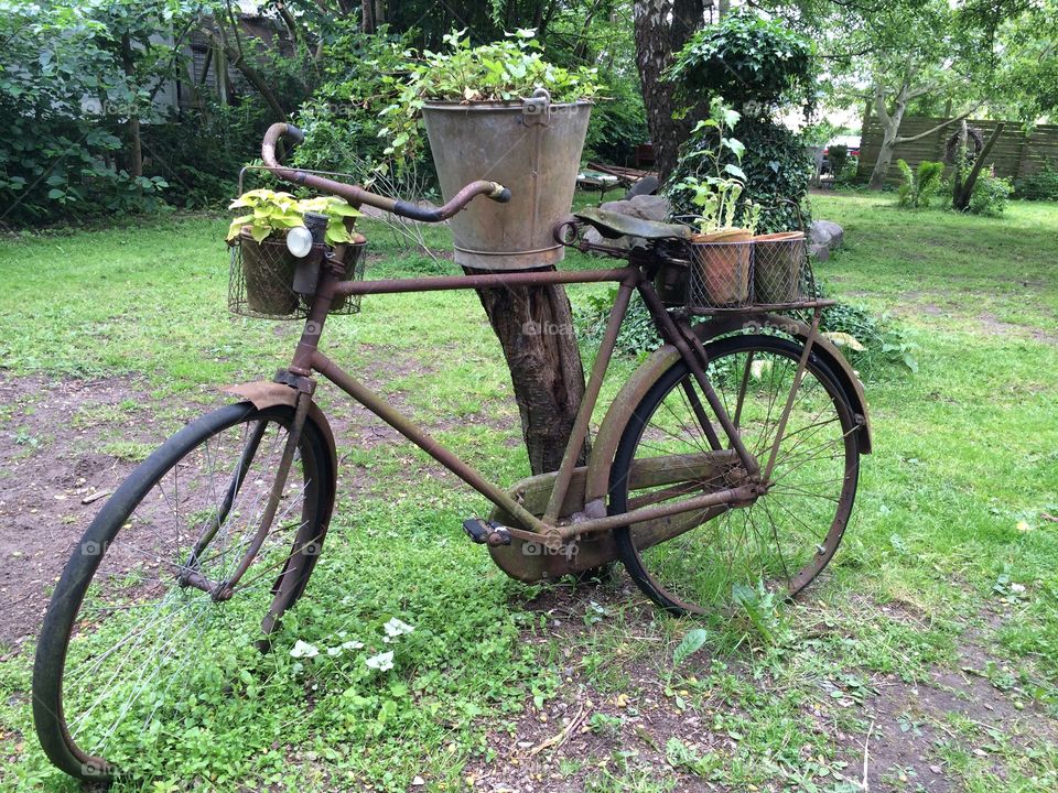 Left old bicycle