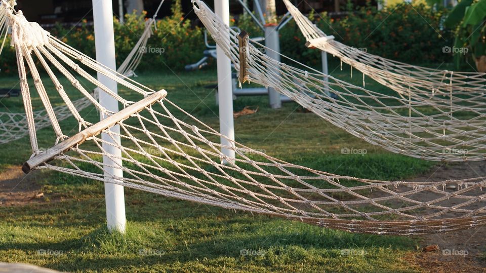 Grass, Line, Nature, Wire, Outdoors