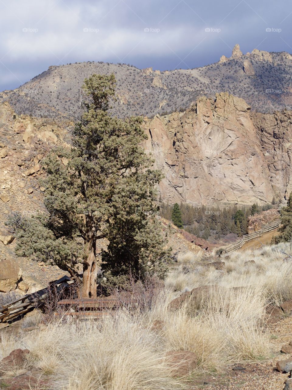 The jagged geology of Smith Rock State Park in Central Oregon with wild grasses and juniper trees in the foreground and stormy skies overhead on a winter day. 
