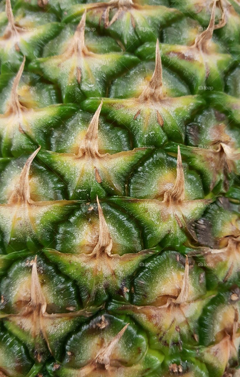 Close-up of Pineapple