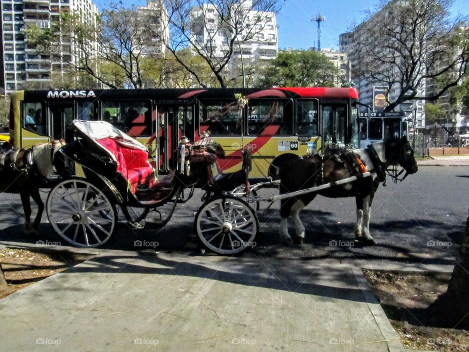 old carriage in a new city