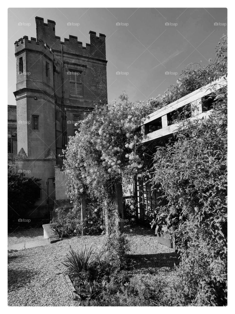 Stately home . Gardens