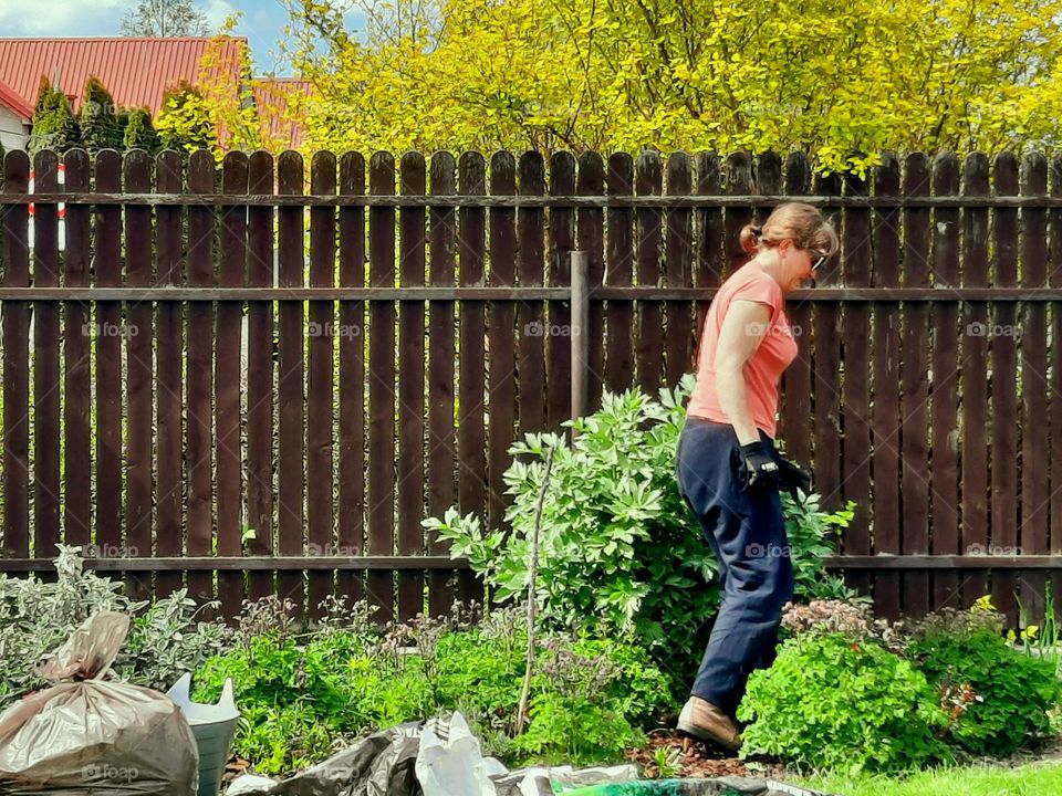 gardening on a sunny day in spring