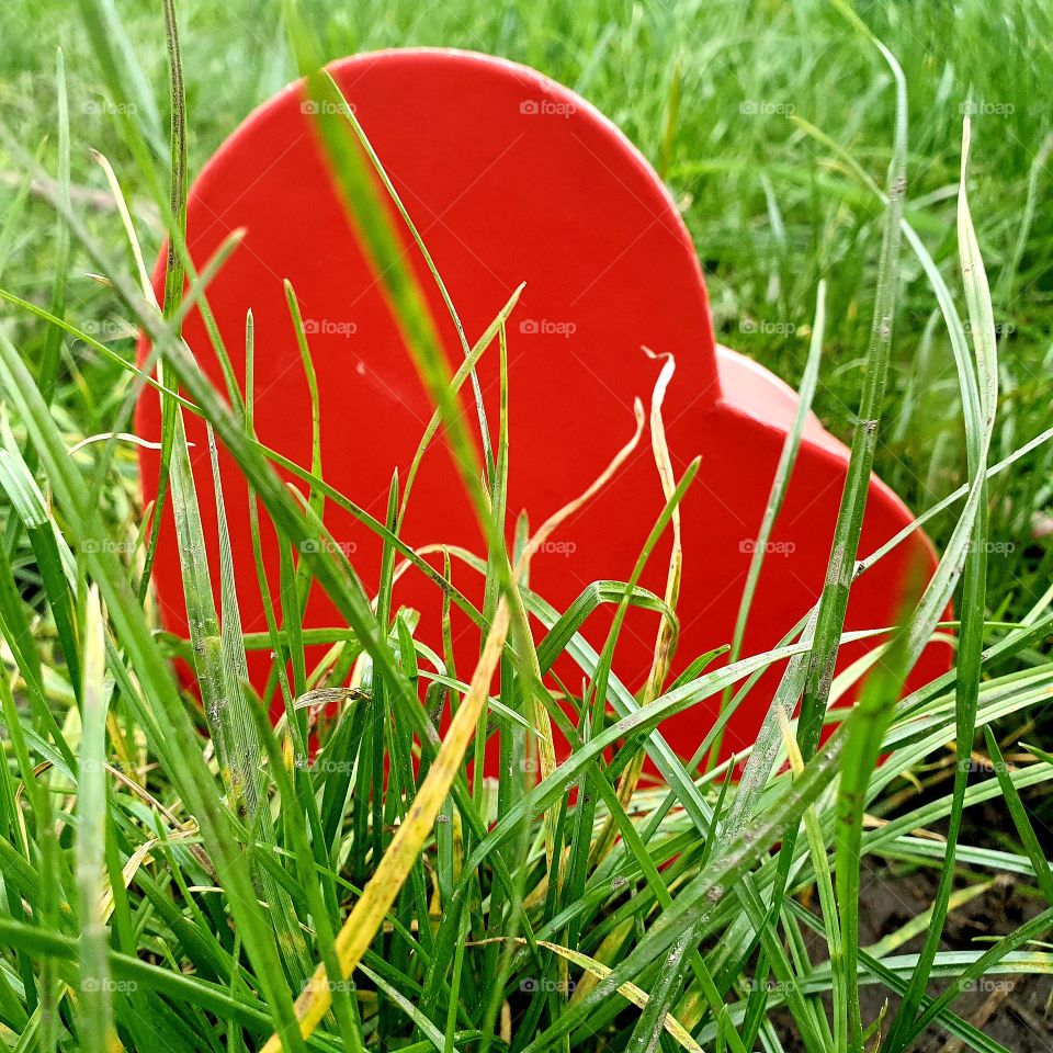 A red heart in the long grass