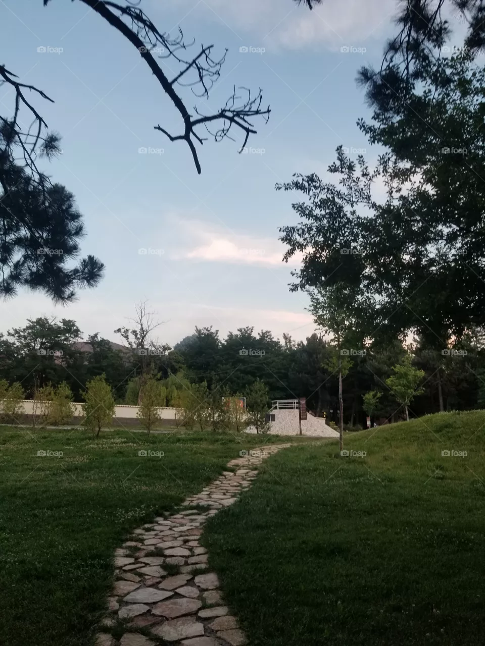 Peaceful nature