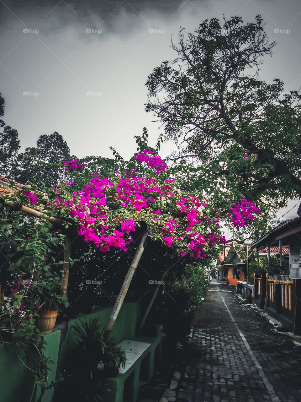 flowers bloom in a pretty and beautiful flower garden