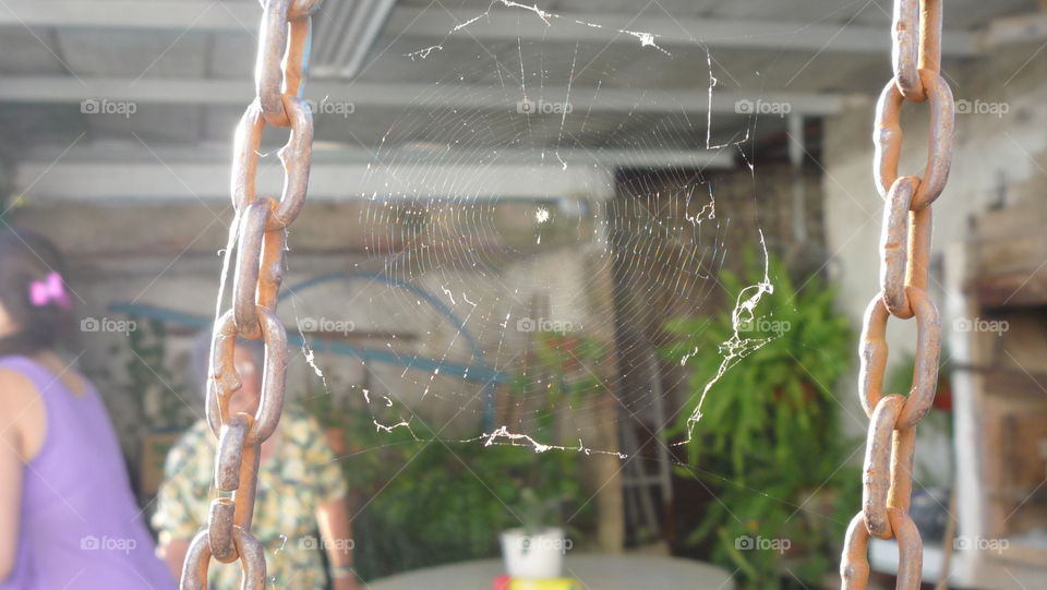 Spider web