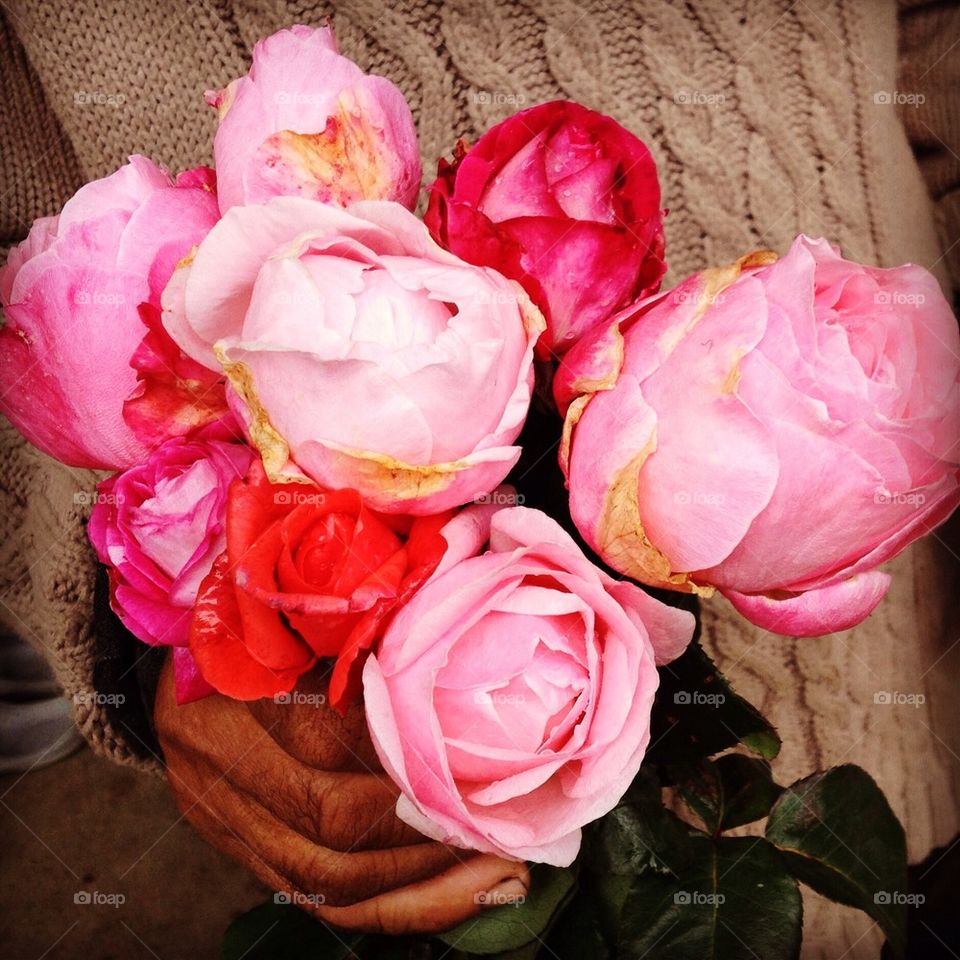 Bouquet of roses