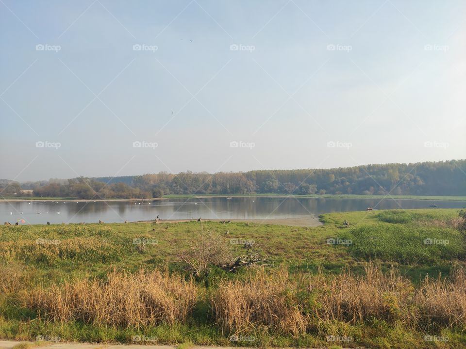 Kovin Serbia river Danube canal Nature Wildlife and reserve in autumn