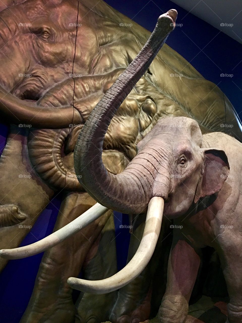 Mammoth exhibit.