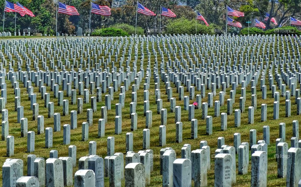 American Military Veterans Cemetery