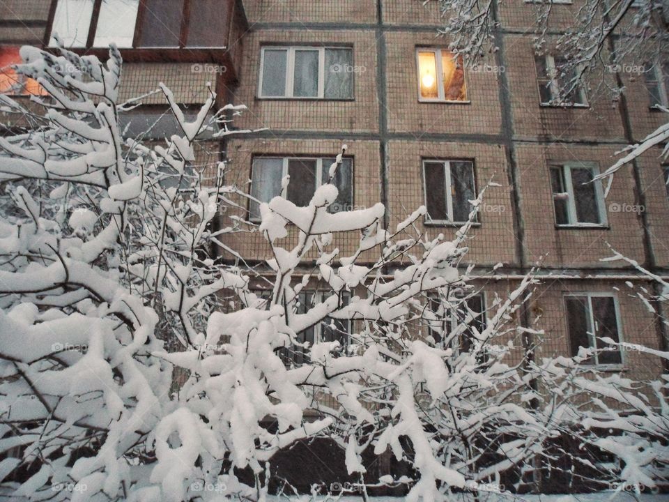 winter in the city of Kiev