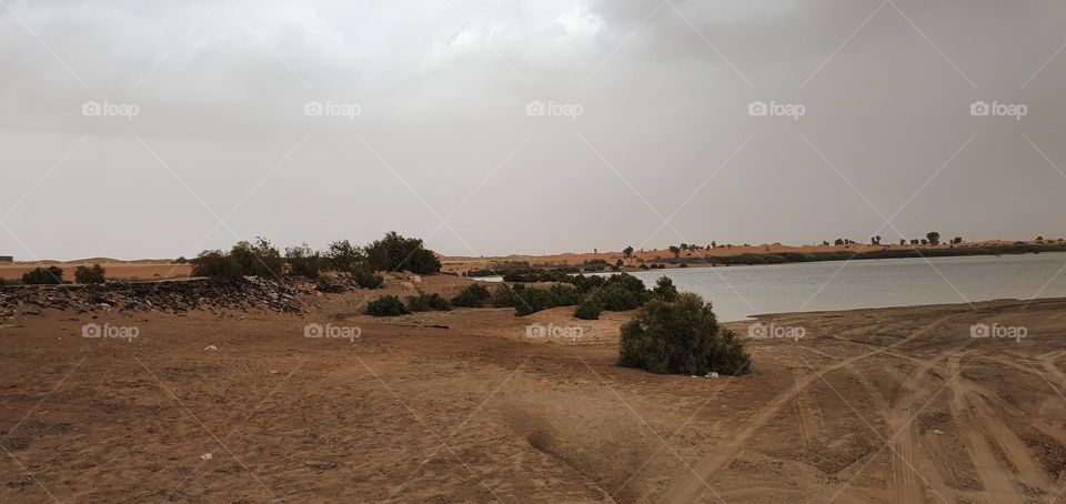 The lake in UAE desert