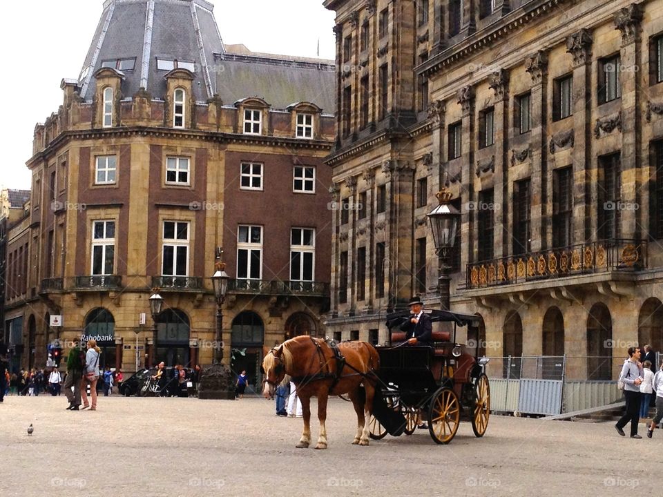 Horse and buggy. Amsterdam