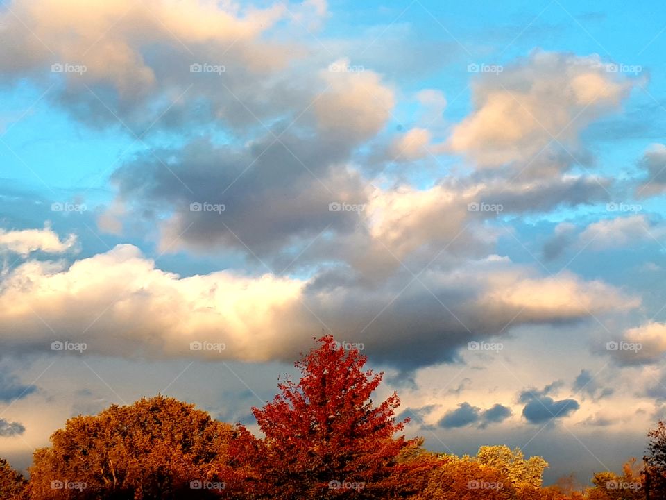 fall colors during changing of the leaves under a cloudy sky
