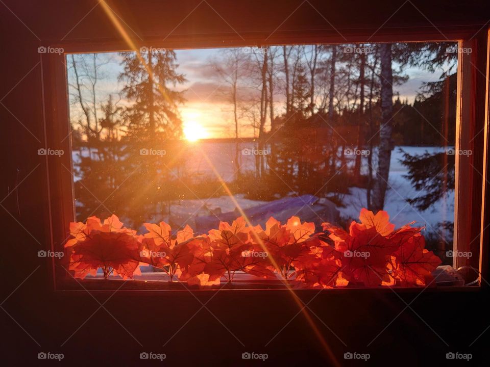 The view from the sauna window