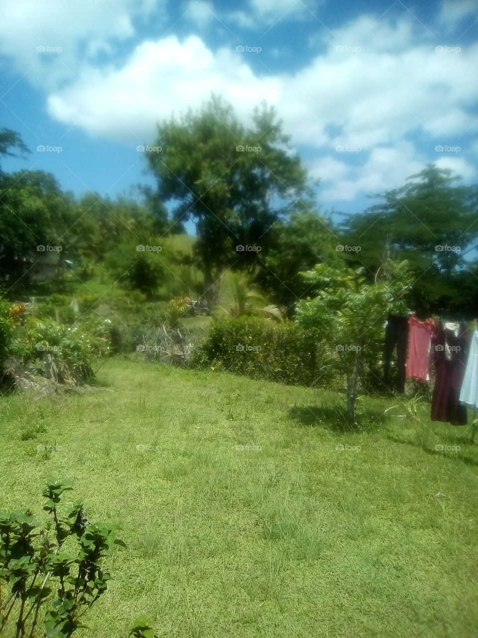 when you do appreciate nature and you also when you do understand that your natural ,