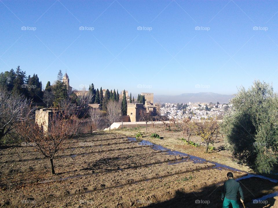 Alhambra and Generalife gardens