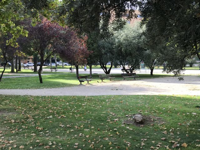 autumn
