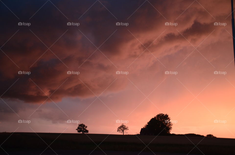 Silhouettes. Location: Eslöv, Sweden 