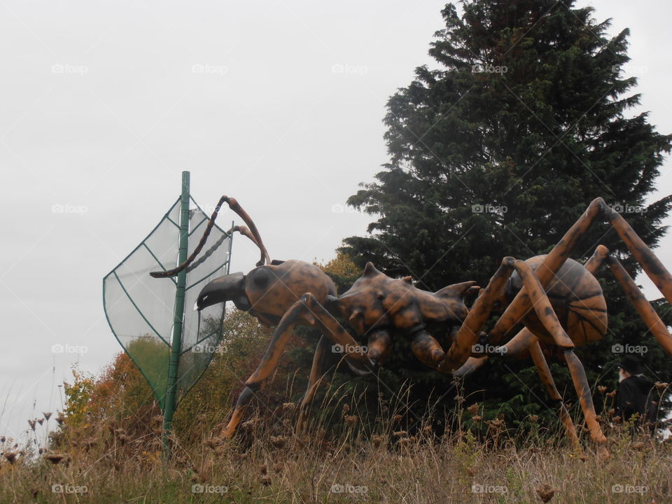 Large Model Ant Carrying A Leaf