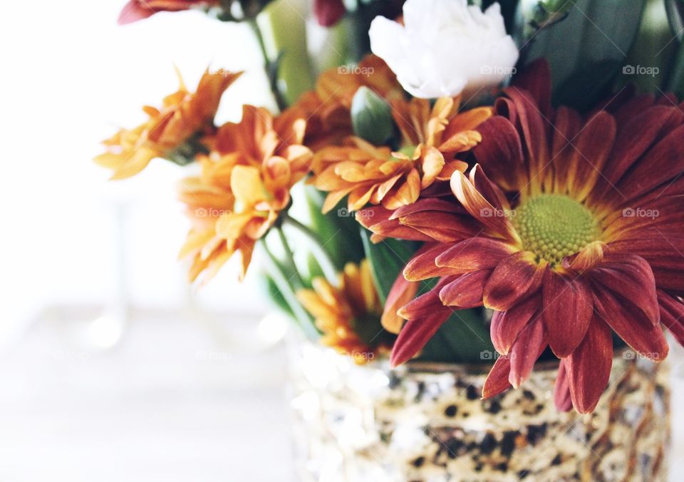 Flower, Nature, Flora, Bouquet, Floral