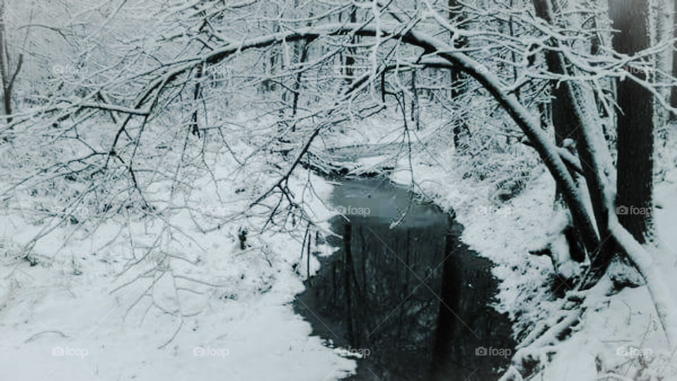 Winter Creek
