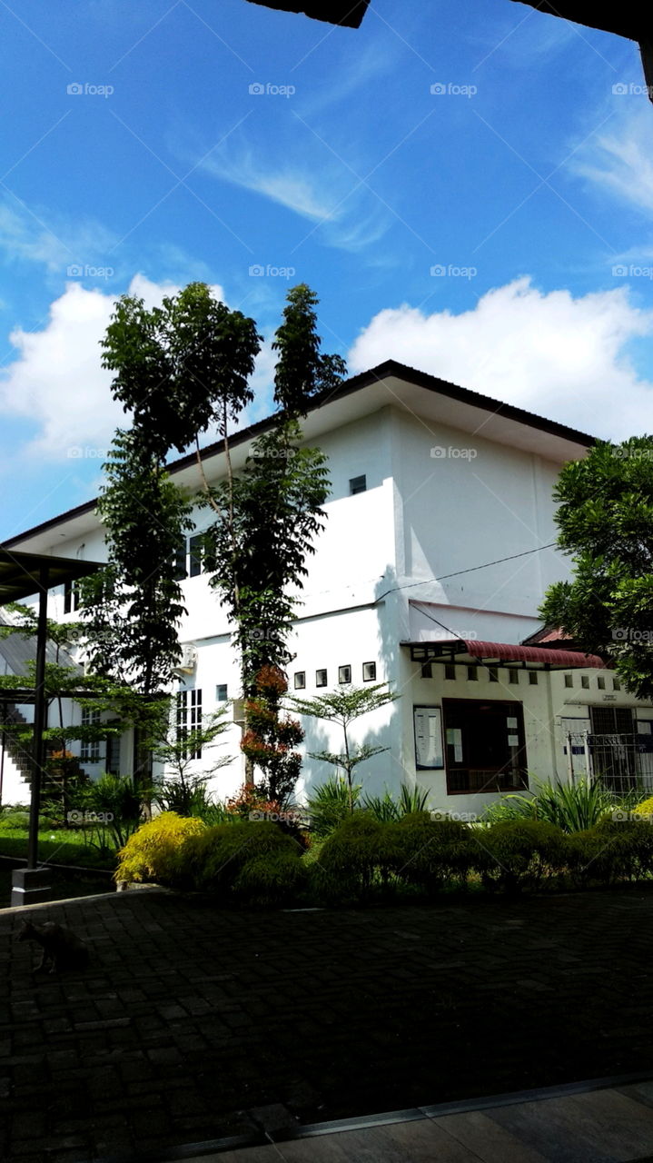 beautiful art building in my university