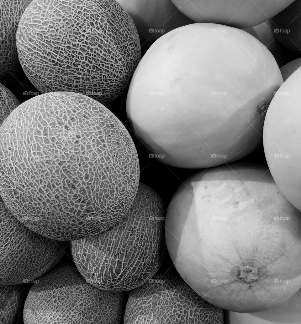 Black and White Cantelopes Melons