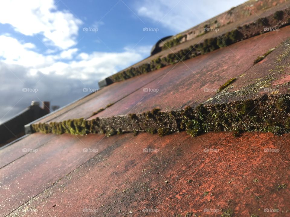 A roof view with the tiles covered with damn green moss