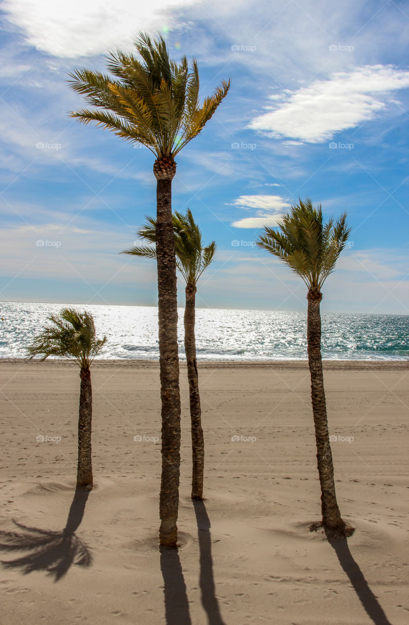 Alicante coast 