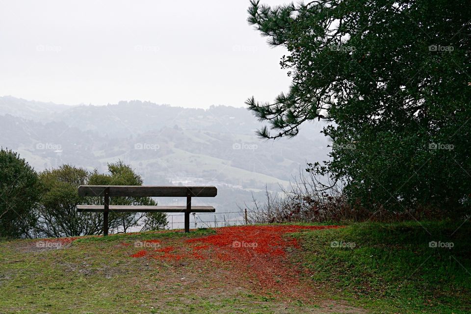 Landscape with bench 