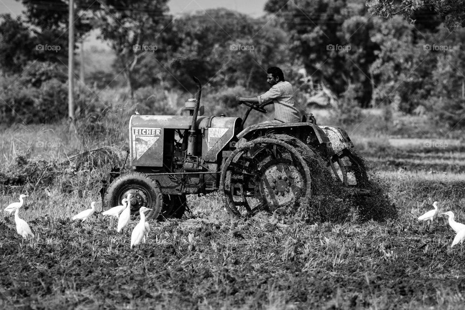 A soulful story of a farmer who driving his tractor in his farm 