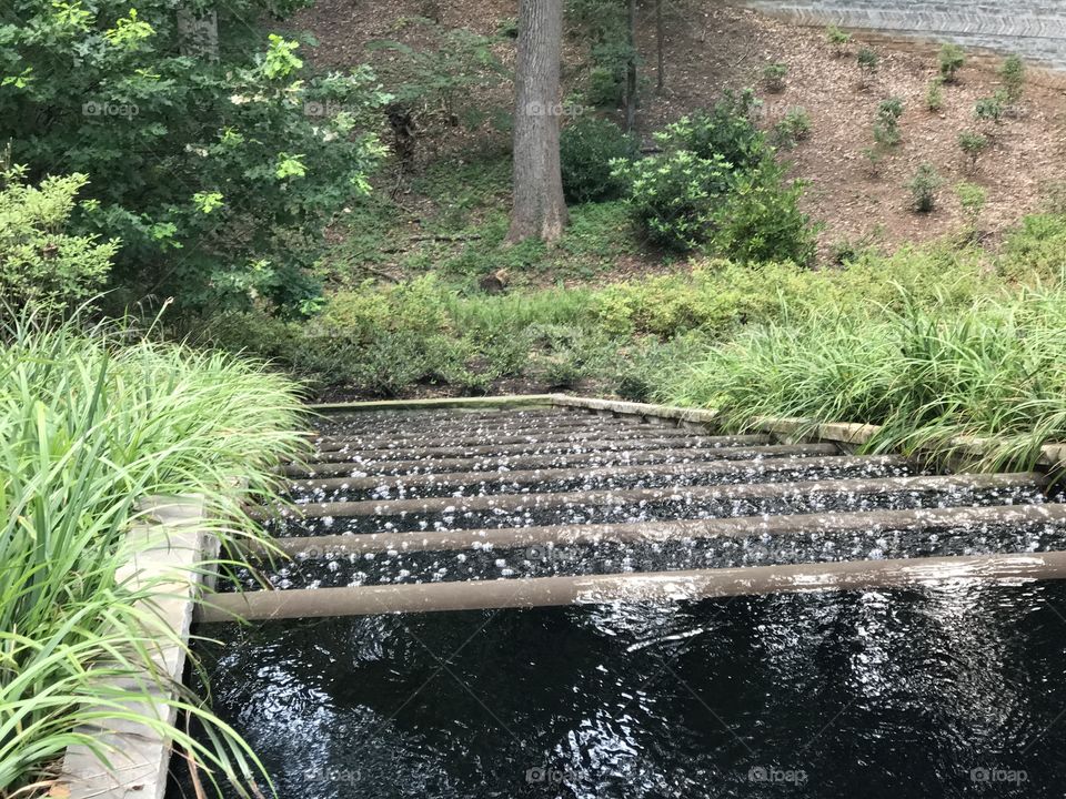 Step water fall 