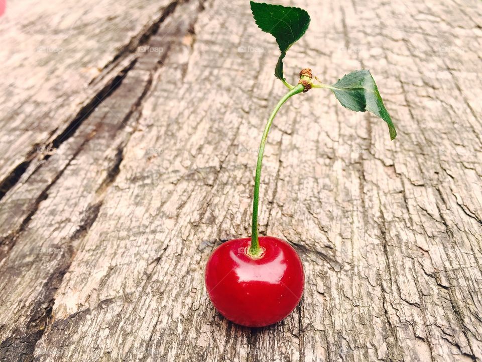 Elevated view of cherry on wooden table