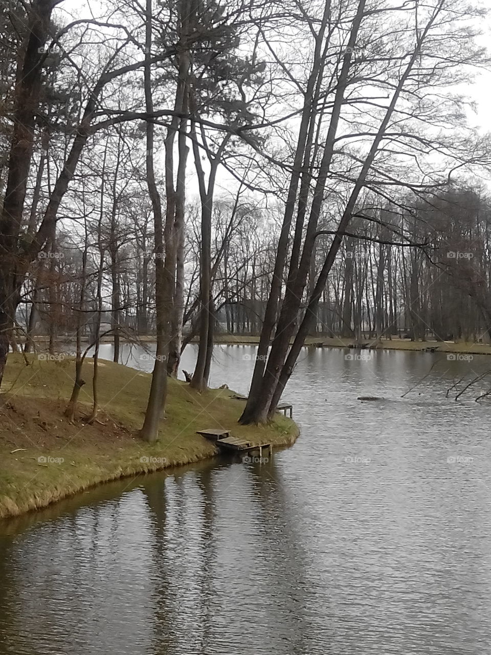 Lake in park . Winter is gone. Nature waiting for sunbeams 