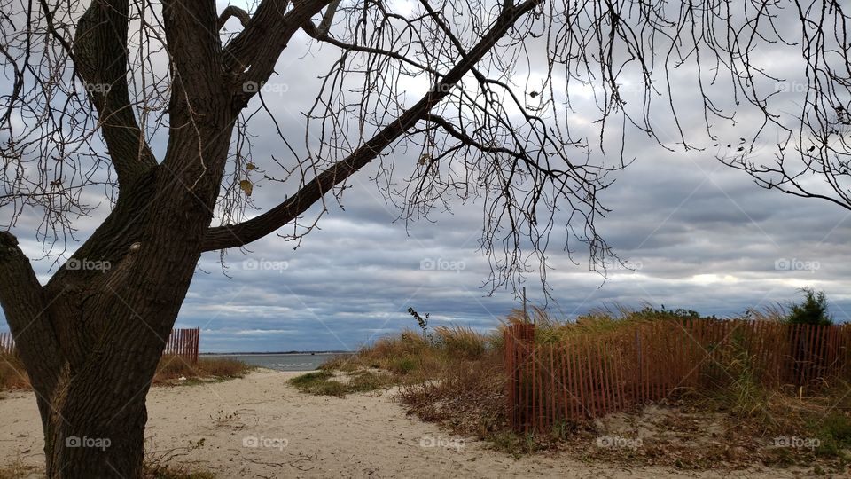 Fall weather beach view