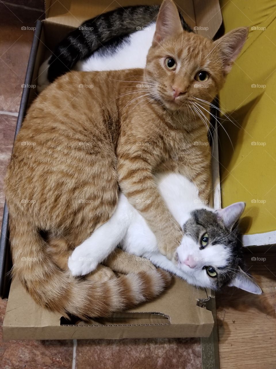 Nothing to see here mom