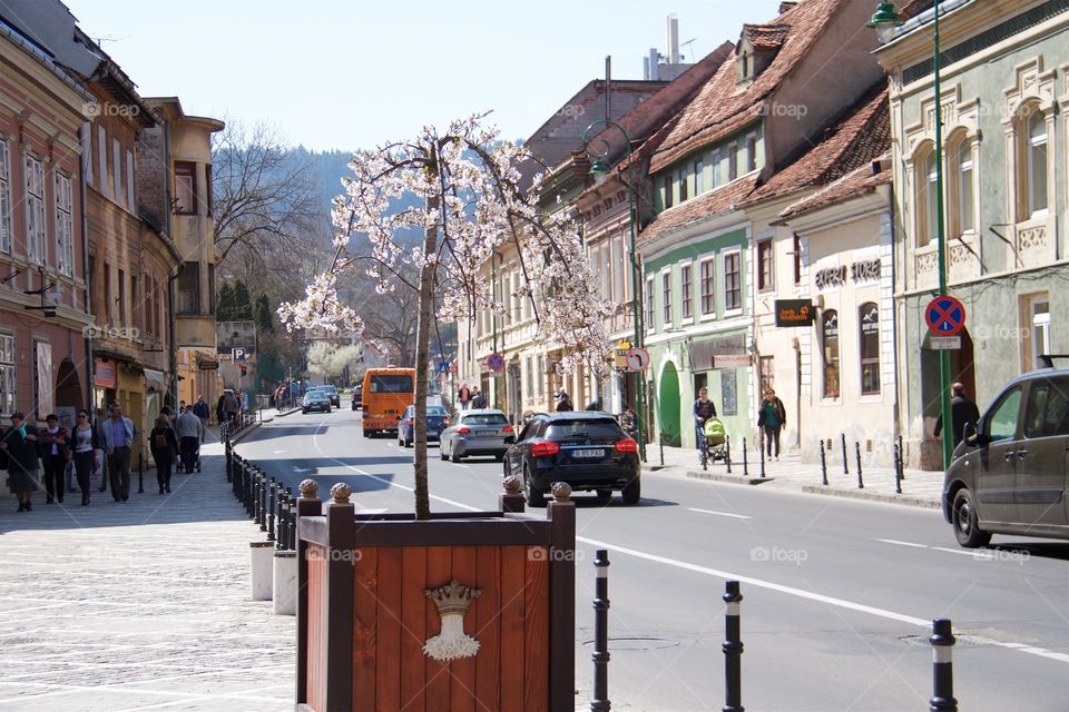 springtime in town
Brasov, Romania