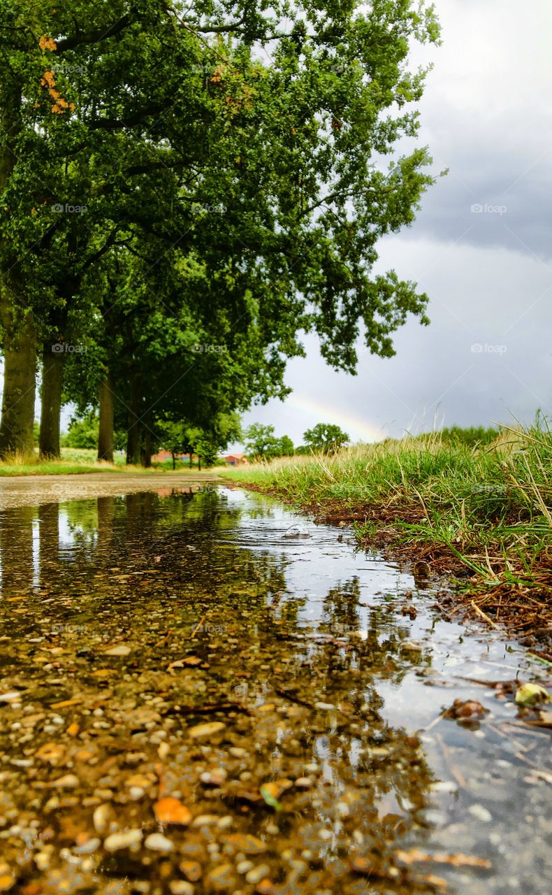 Puddles on the countryside road after the rain, showing the grey sky with a faint rainbow in the sky