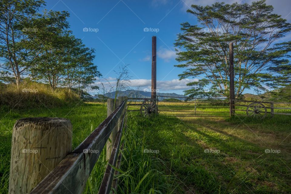 An old ranch gate in field