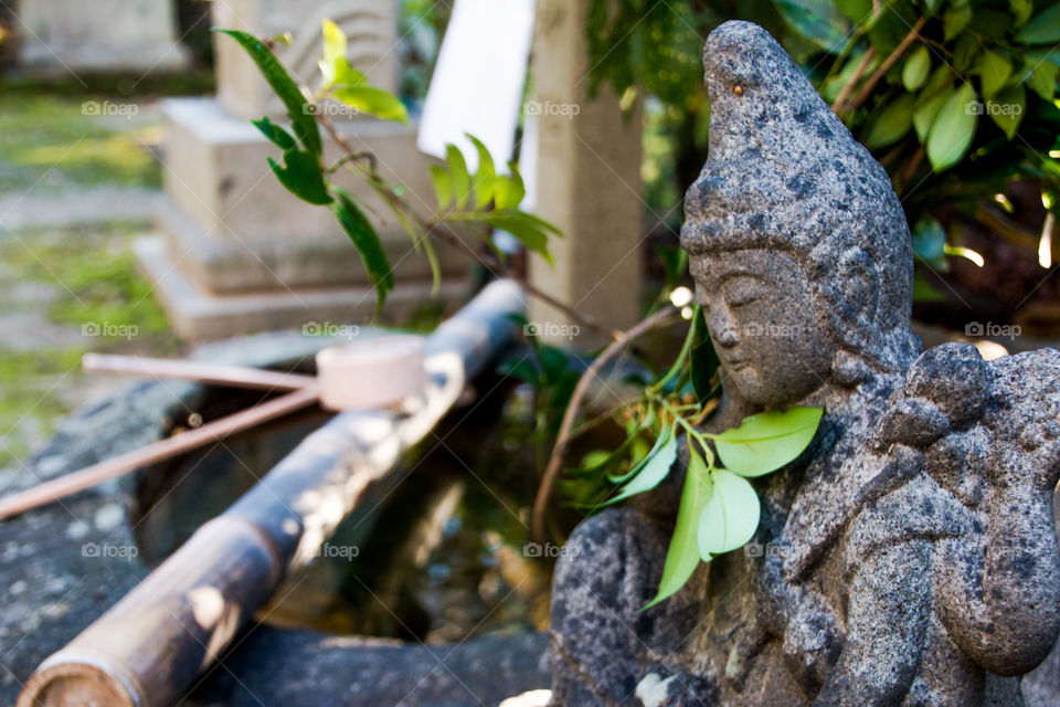 Buddha and green plant