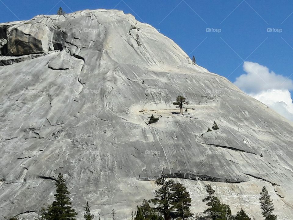 Yosemite