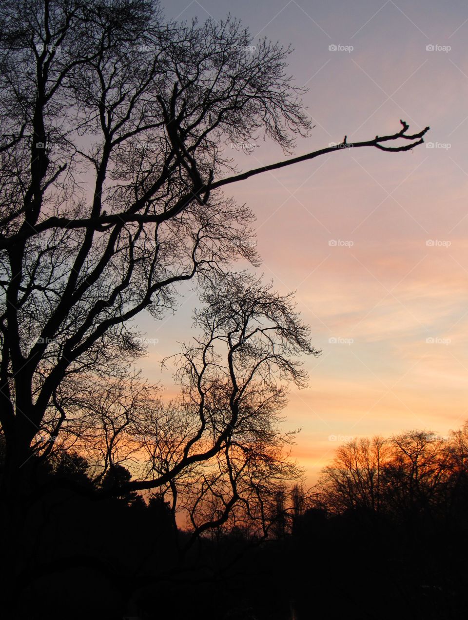 Sunset in the park