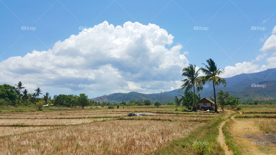 countryside living in the philippines