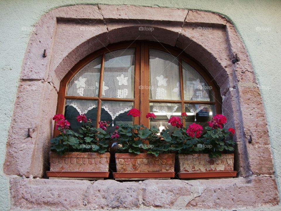 Beautiful window ledge full of flowers .. spotted whilst on a bike ride 