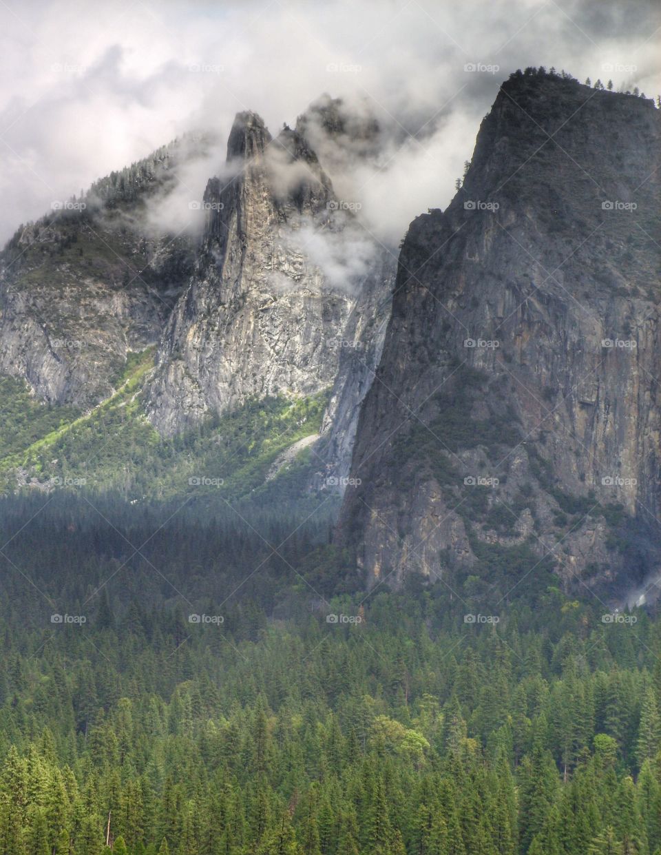 Yosemite national park is awesome - majestic forest and maintains