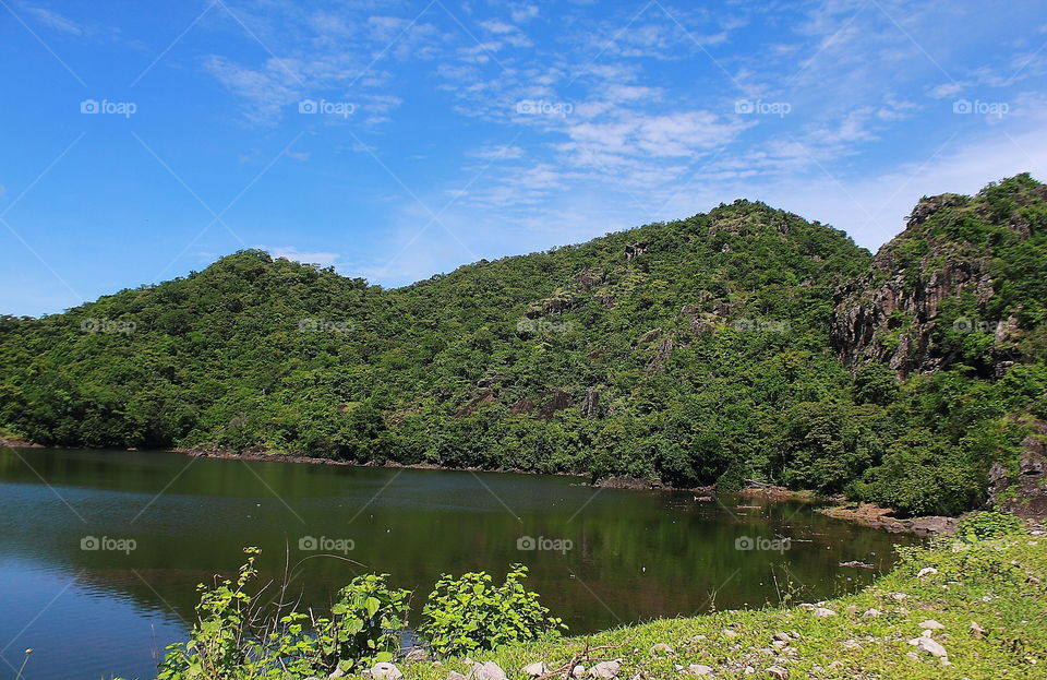 A corner site lake of DAM. Sub - tropical felt with the green hill and blue sky for clear sunny. Some egrets seldom shown to give beauty living ornament of that place. The raptor too , at the sky when we're lucky for shown. Beauty , amazing soaring.